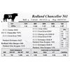 Image 1 : Redland Chancellor 561
