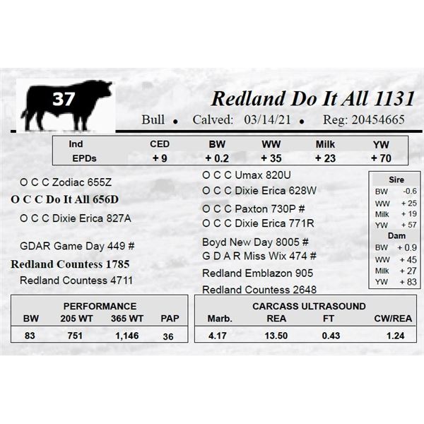 Redland Do It All 1131