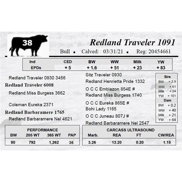 Redland Traveler 1091
