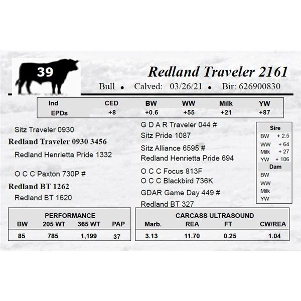 Redland Traveler 2161