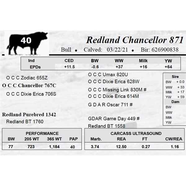Redland Chancellor 871