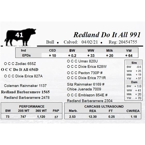 Redland Do It All 991