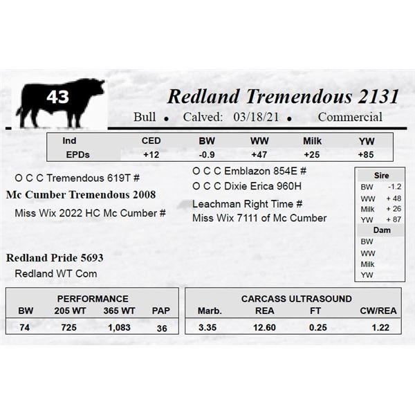 Redland Tremendous 2131