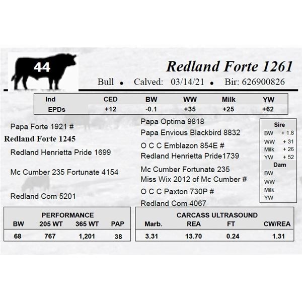 Redland Forte 1261