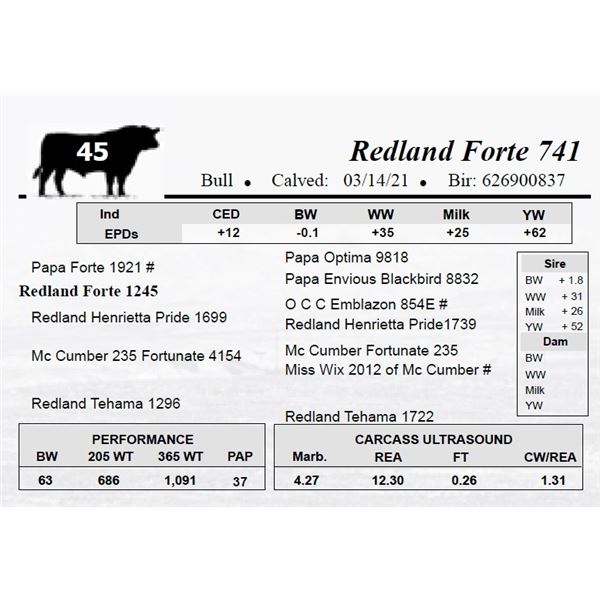 Redland Forte 741