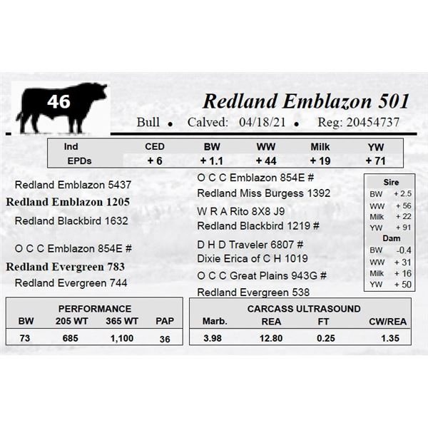 Redland Emblazon 501