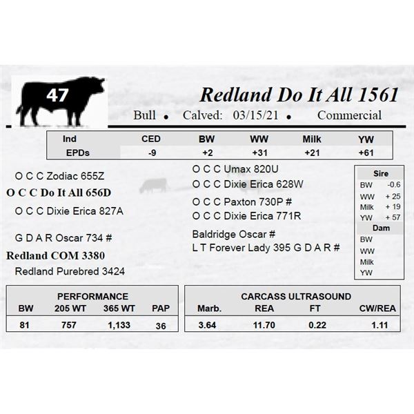 Redland Do It All 1561