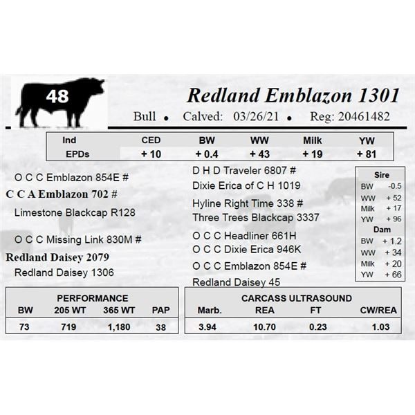 Redland Emblazon 1301