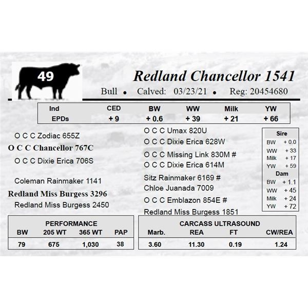 Redland Chancellor 1541