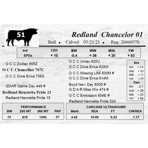 Redland Chancelor 01