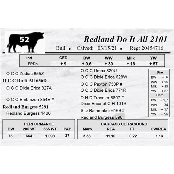 Redland Do It All 2101