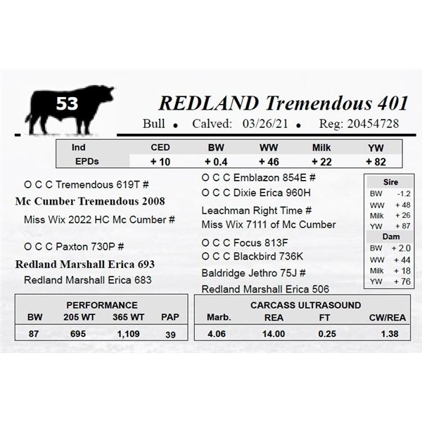 REDLAND Tremendous 401