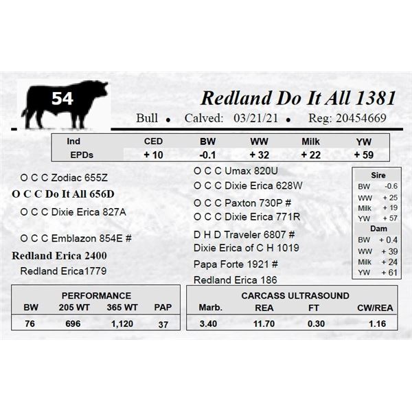 Redland Do It All 1381