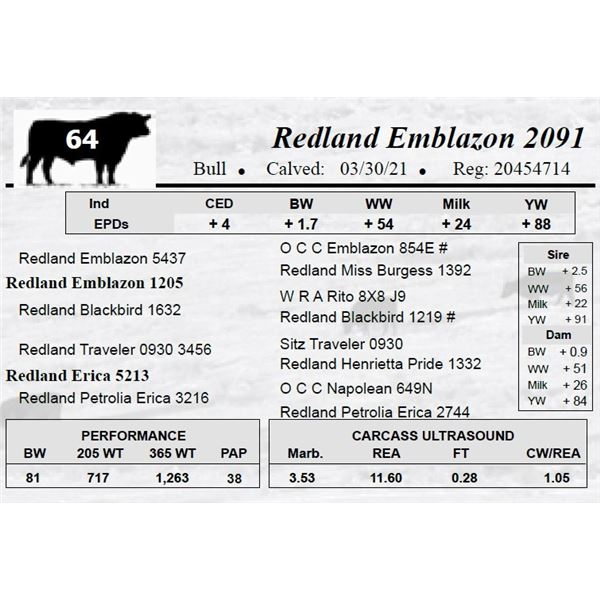 Redland Emblazon 2091