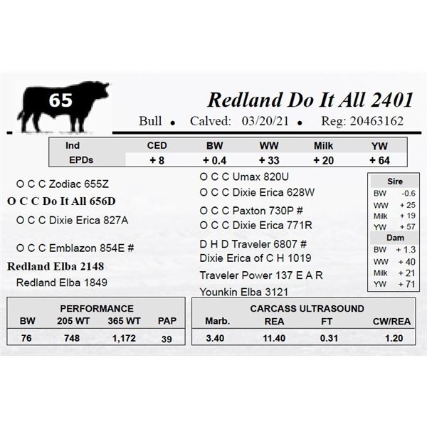 Redland Do It All 2401
