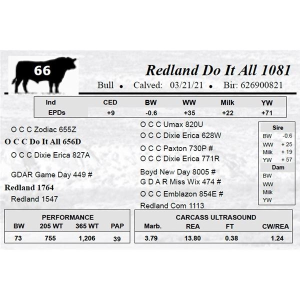 Redland Do It All 1081