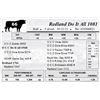 Image 1 : Redland Do It All 1081