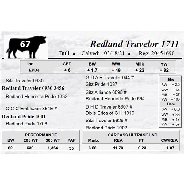 Redland Travelor 1711