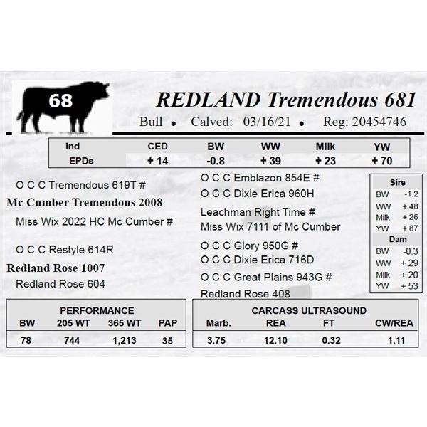 REDLAND Tremendous 681