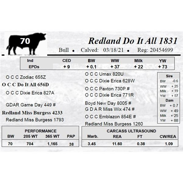 Redland Do It All 1831