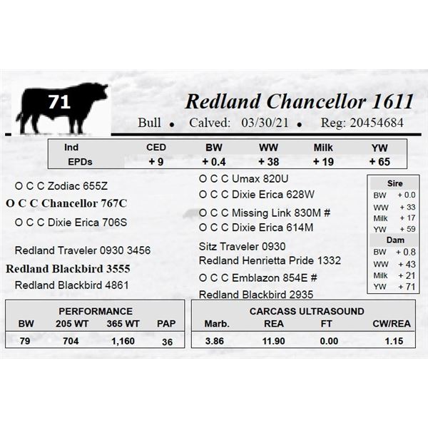 Redland Chancellor 1611