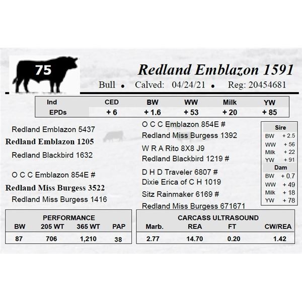 Redland Emblazon 1591