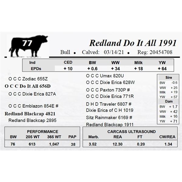 Redland Do It All 1991