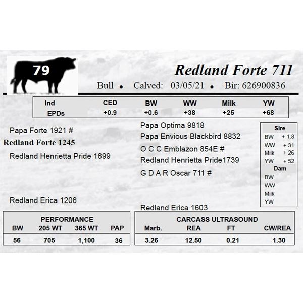 Redland Forte 711