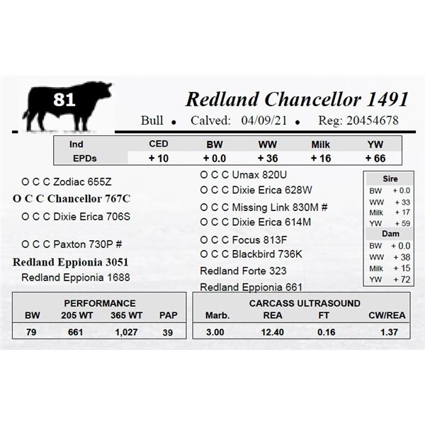 Redland Chancellor 1491