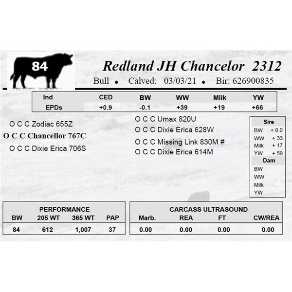 Redland JH Chancelor 2312