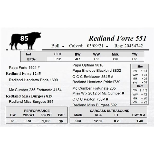 Redland Forte 551