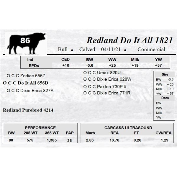 Redland Do It All 1821