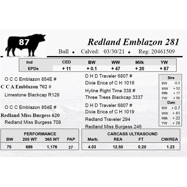 Redland Emblazon 281