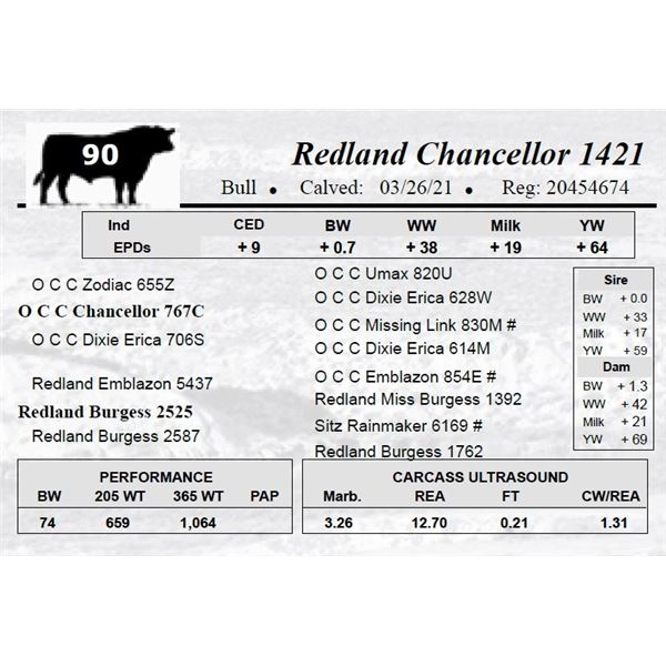 Redland Chancellor 1421
