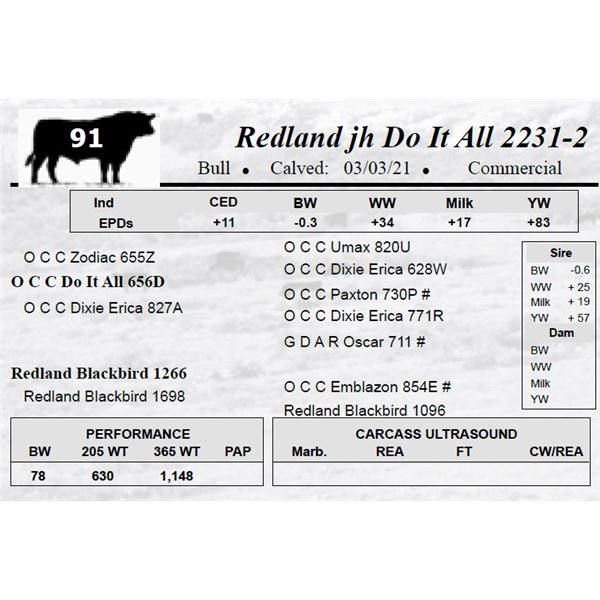 Redland jh Do It All 2231-2