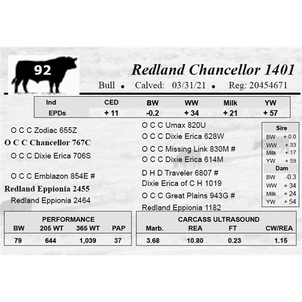 Redland Chancellor 1401