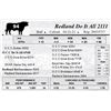 Image 1 : Redland Do It All 2111