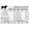Image 1 : Redland Do It All 1641