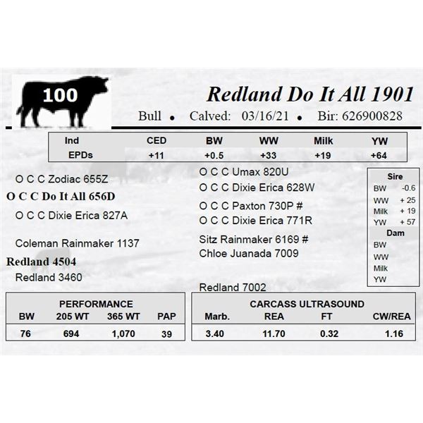 Redland Do It All 1901