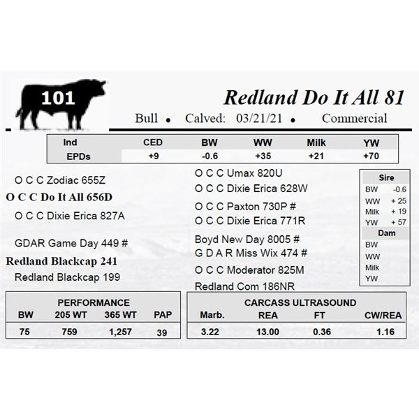 Redland Do It All 81