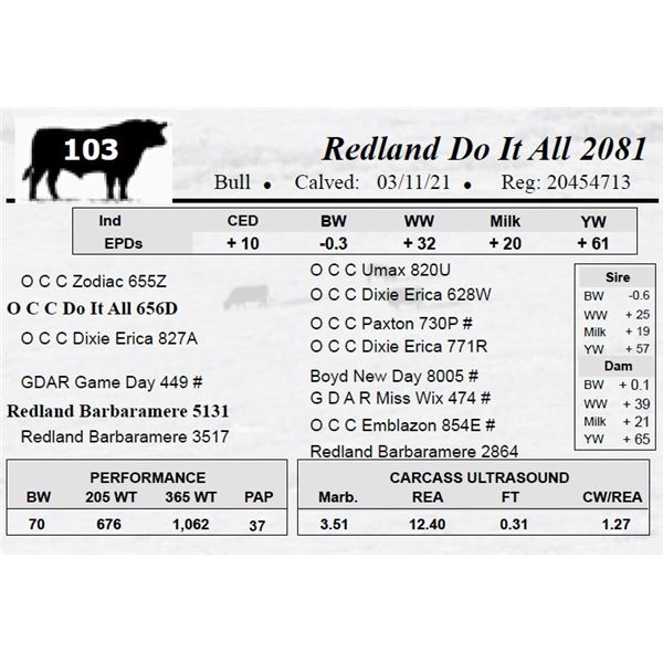 Redland Do It All 2081