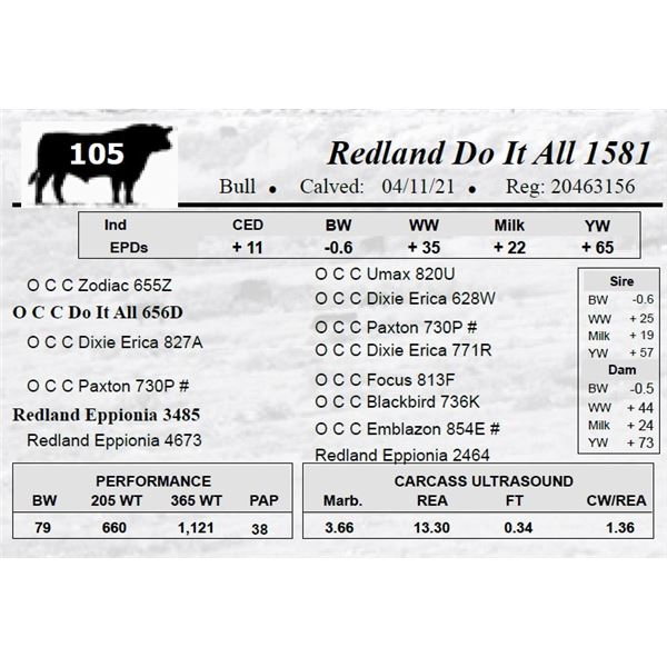 Redland Do It All 1581