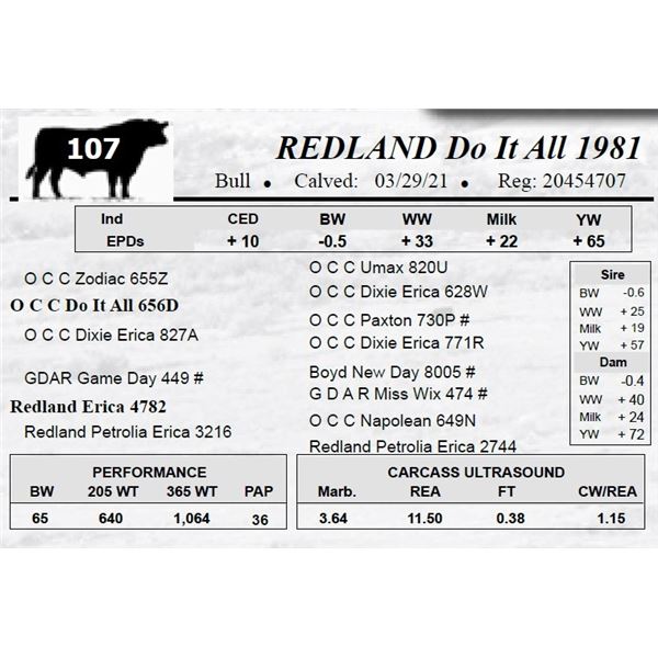 REDLAND Do It All 1981