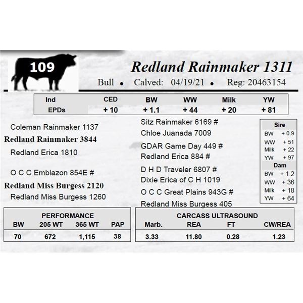 Redland Rainmaker 1311