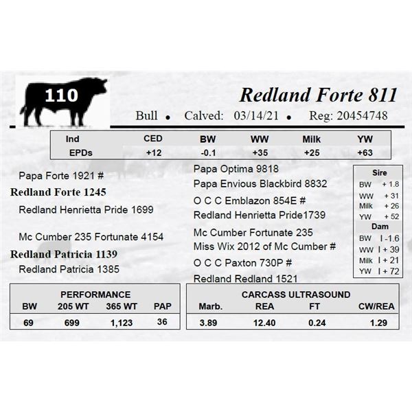 Redland Forte 811