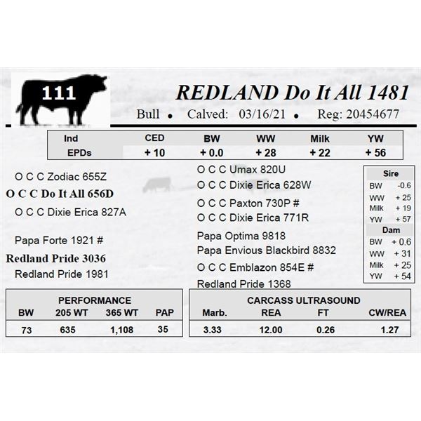 REDLAND Do It All 1481