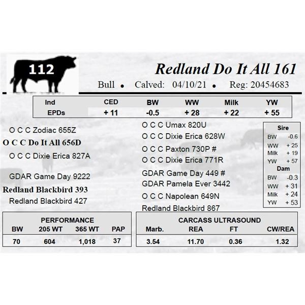 Redland Do It All 161