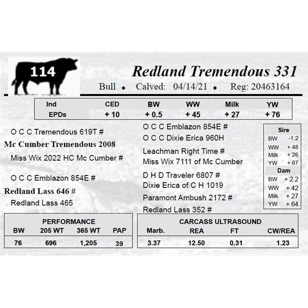 Redland Tremendous 331