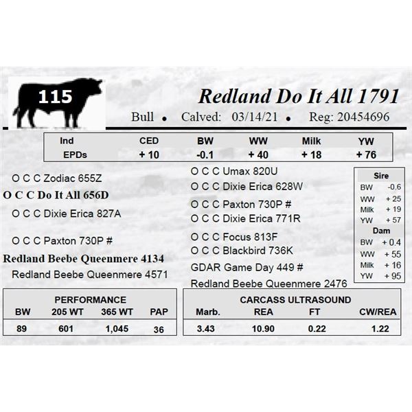 Redland Do It All 1791