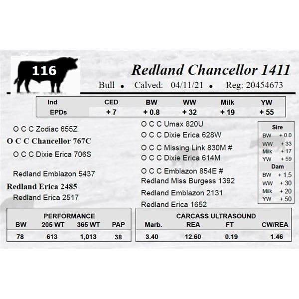 Redland Chancellor 1411